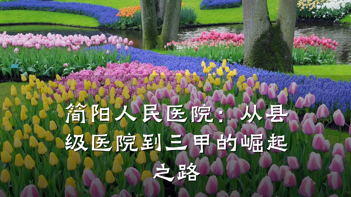 简阳人民医院：从县级医院到三甲的崛起之路