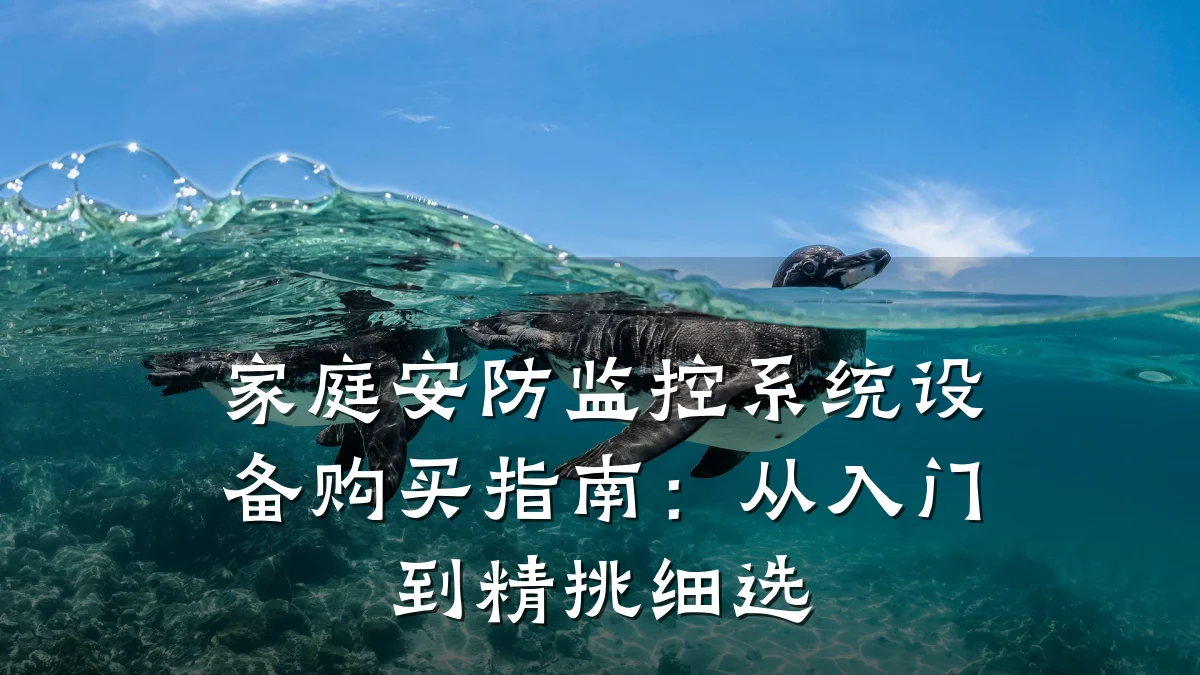 家庭安防监控系统设备购买指南：从入门到精挑细选