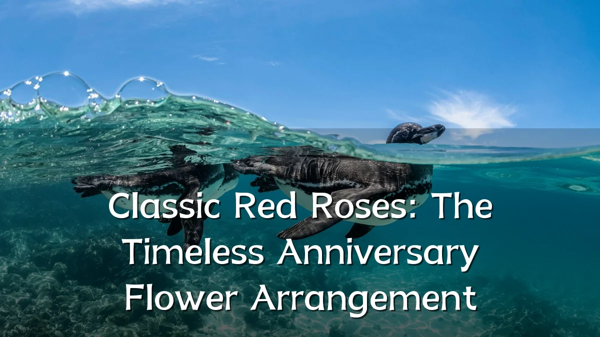 Classic Red Roses: The Timeless Anniversary Flower Arrangement