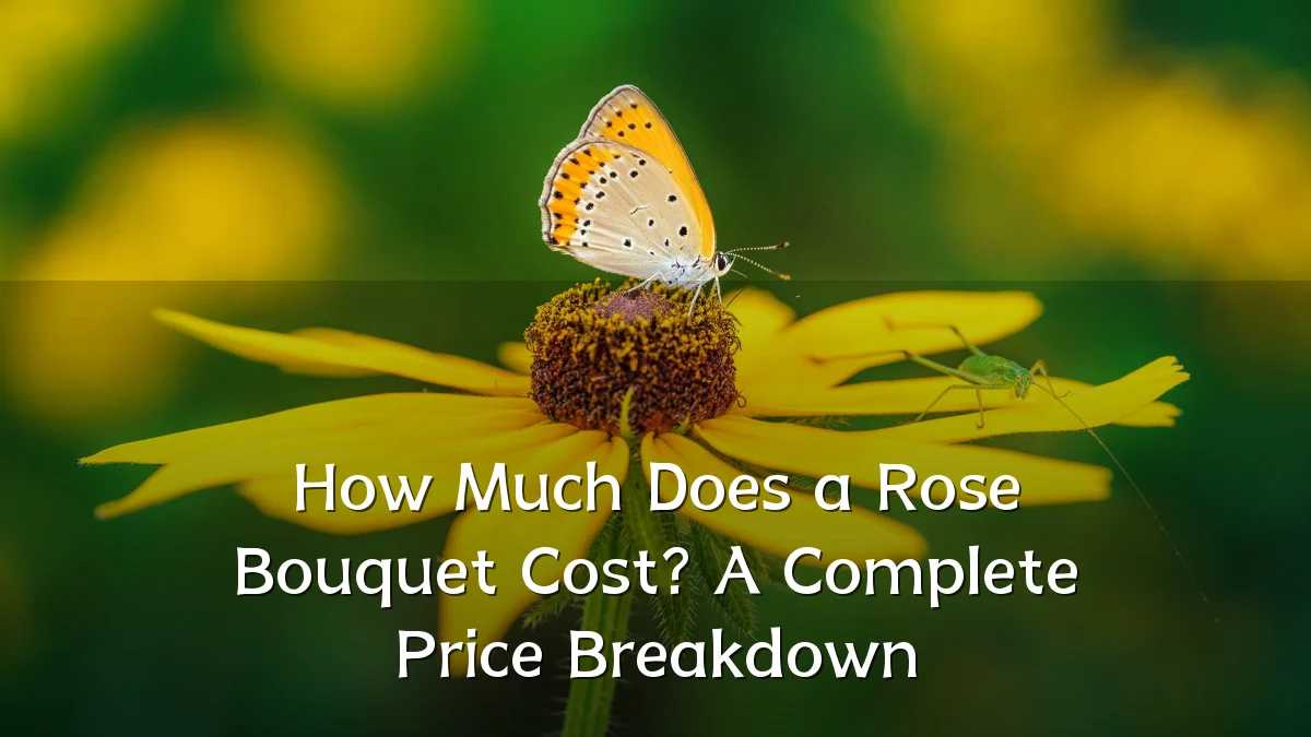 How Much Does a Rose Bouquet Cost? A Complete Price Breakdown