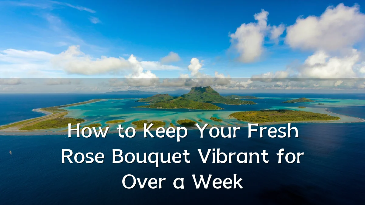 How to Keep Your Fresh Rose Bouquet Vibrant for Over a Week