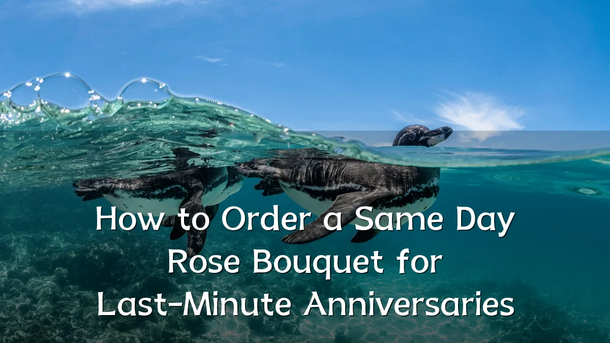 How to Order a Same Day Rose Bouquet for Last-Minute Anniversaries