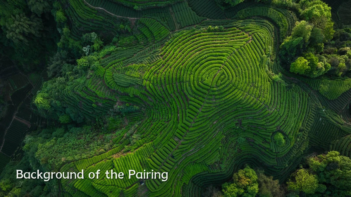 Background of the Pairing