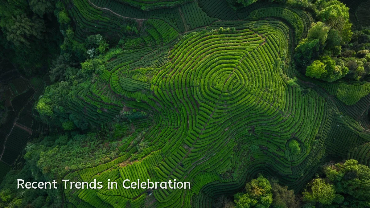Recent Trends in Celebration