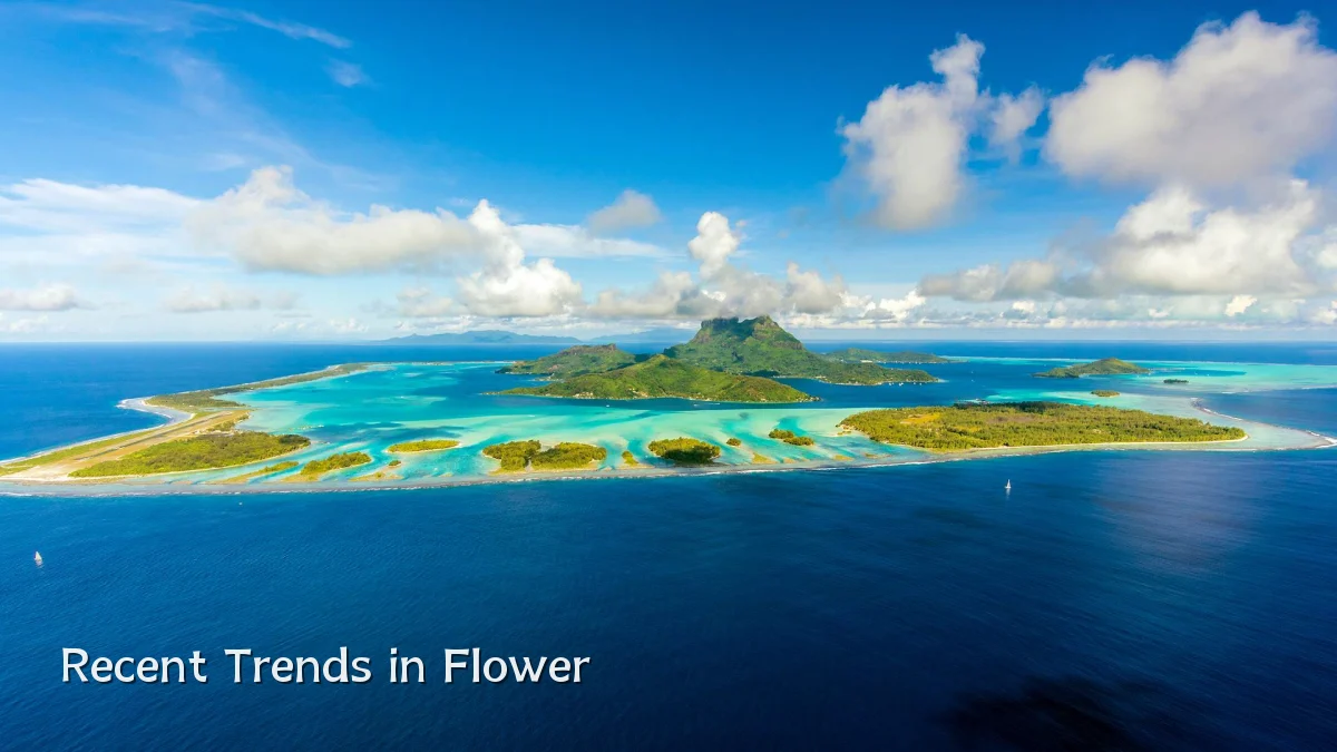 Recent Trends in Flower