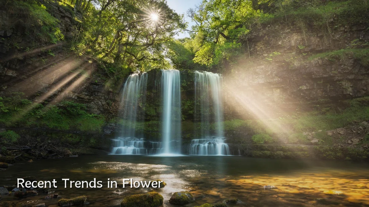 Recent Trends in Flower