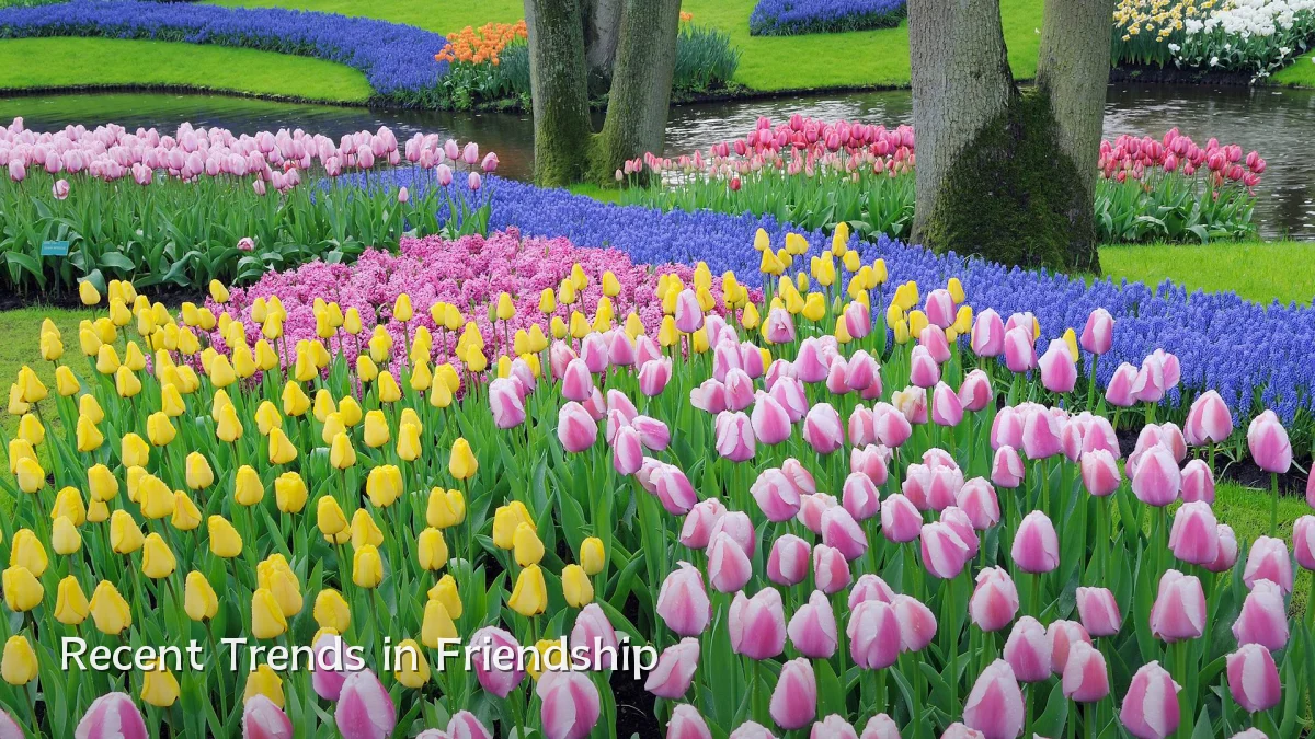 Recent Trends in Friendship