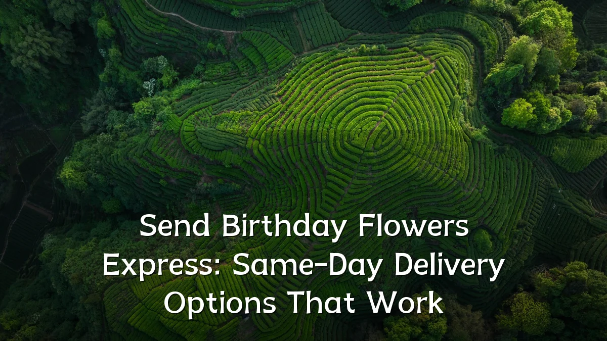 Send Birthday Flowers Express: Same-Day Delivery Options That Work