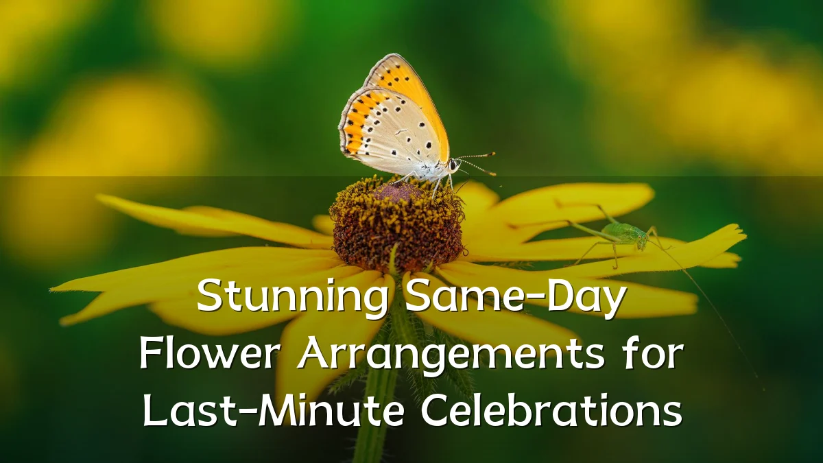 Stunning Same-Day Flower Arrangements for Last-Minute Celebrations