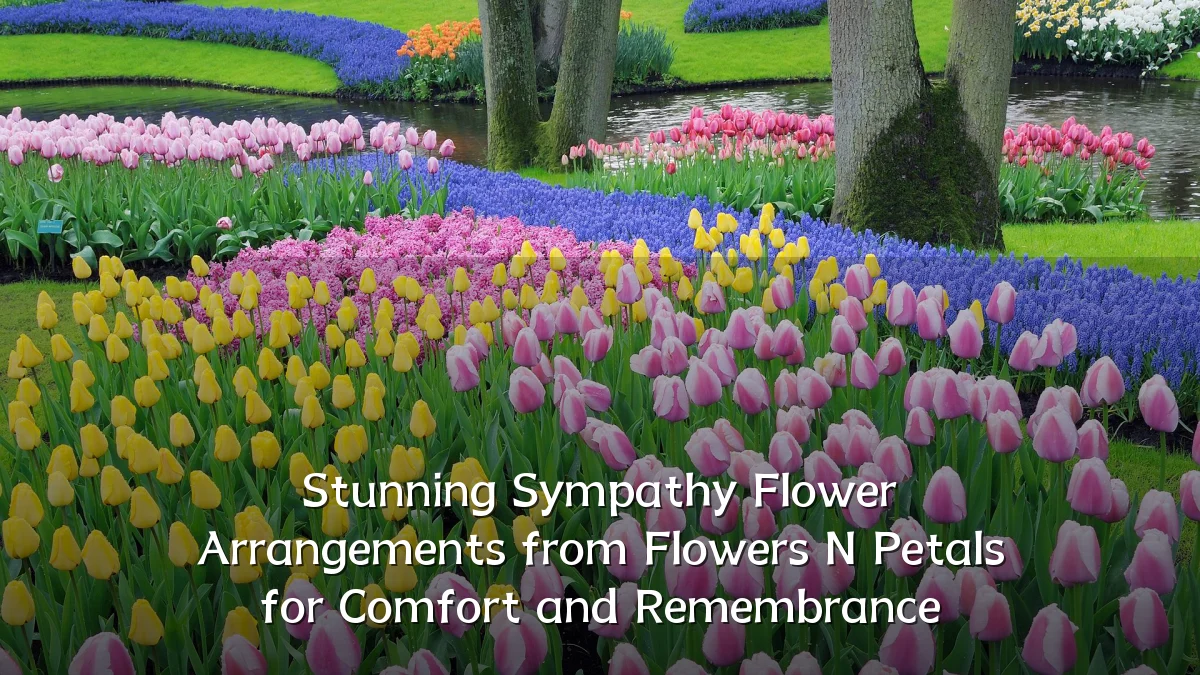 Stunning Sympathy Flower Arrangements from Flowers N Petals for Comfort and Remembrance