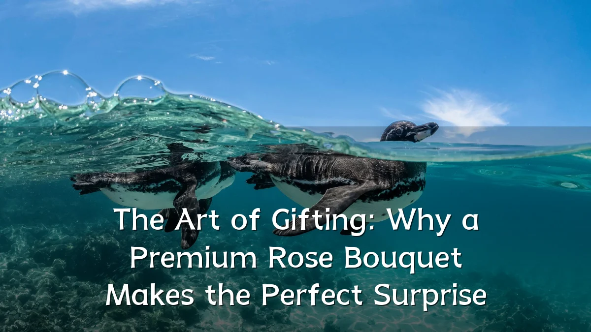 The Art of Gifting: Why a Premium Rose Bouquet Makes the Perfect Surprise