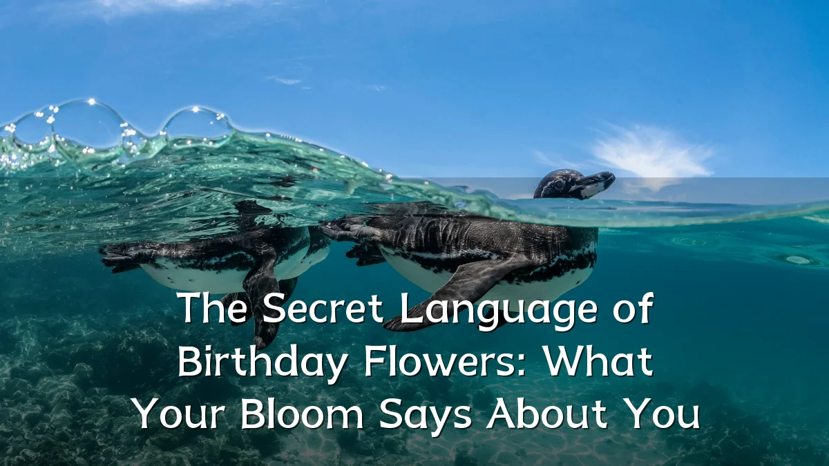 The Secret Language of Birthday Flowers: What Your Bloom Says About You
