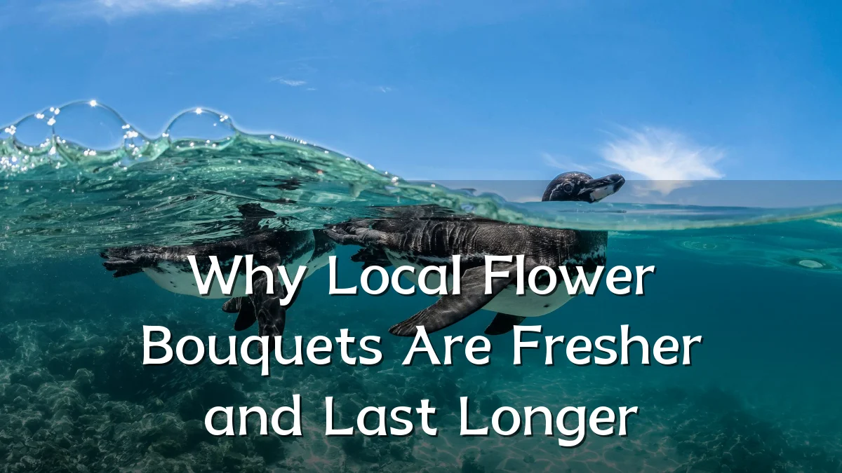 Why Local Flower Bouquets Are Fresher and Last Longer