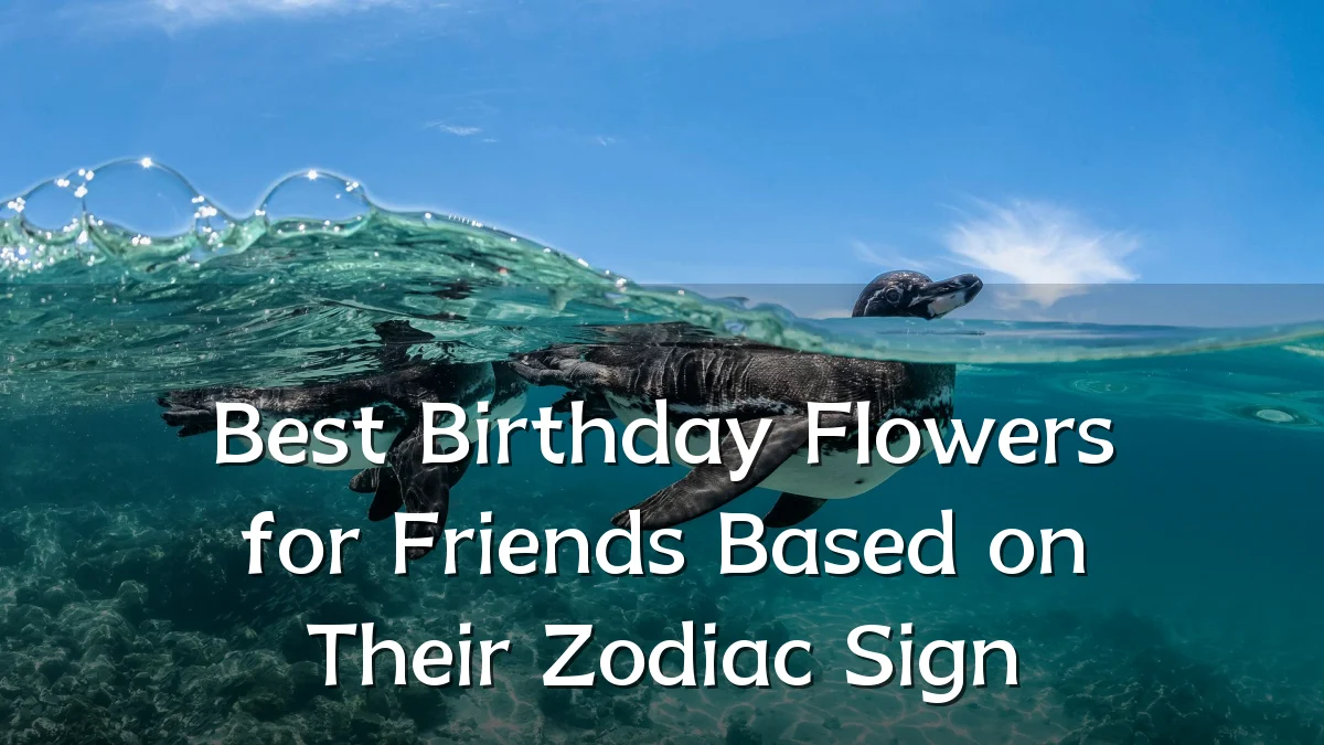Best Birthday Flowers for Friends Based on Their Zodiac Sign