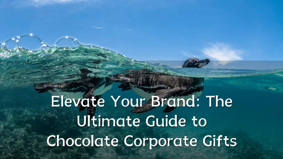 Elevate Your Brand: The Ultimate Guide to Chocolate Corporate Gifts