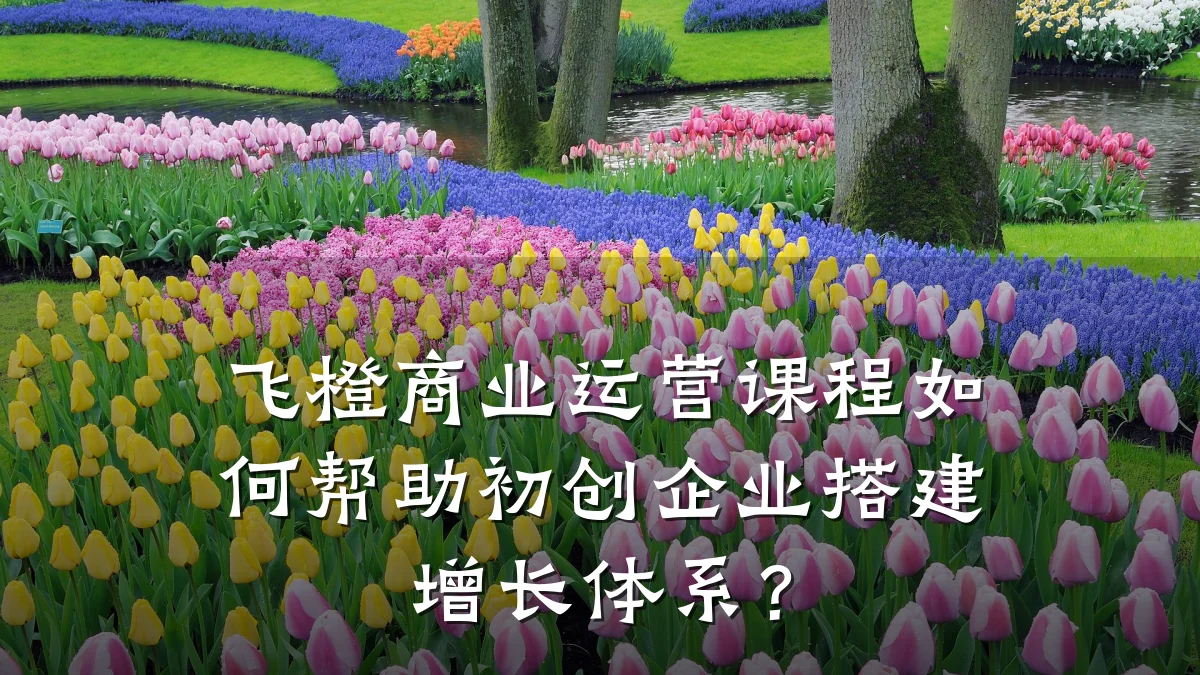 飞橙商业运营课程如何帮助初创企业搭建增长体系?