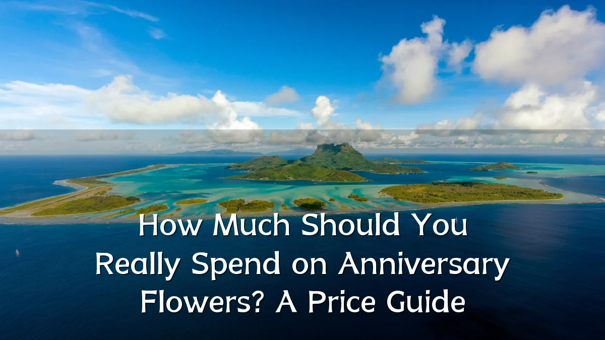 How Much Should You Really Spend on Anniversary Flowers? A Price Guide