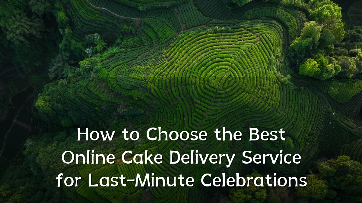 How to Choose the Best Online Cake Delivery Service for Last-Minute Celebrations