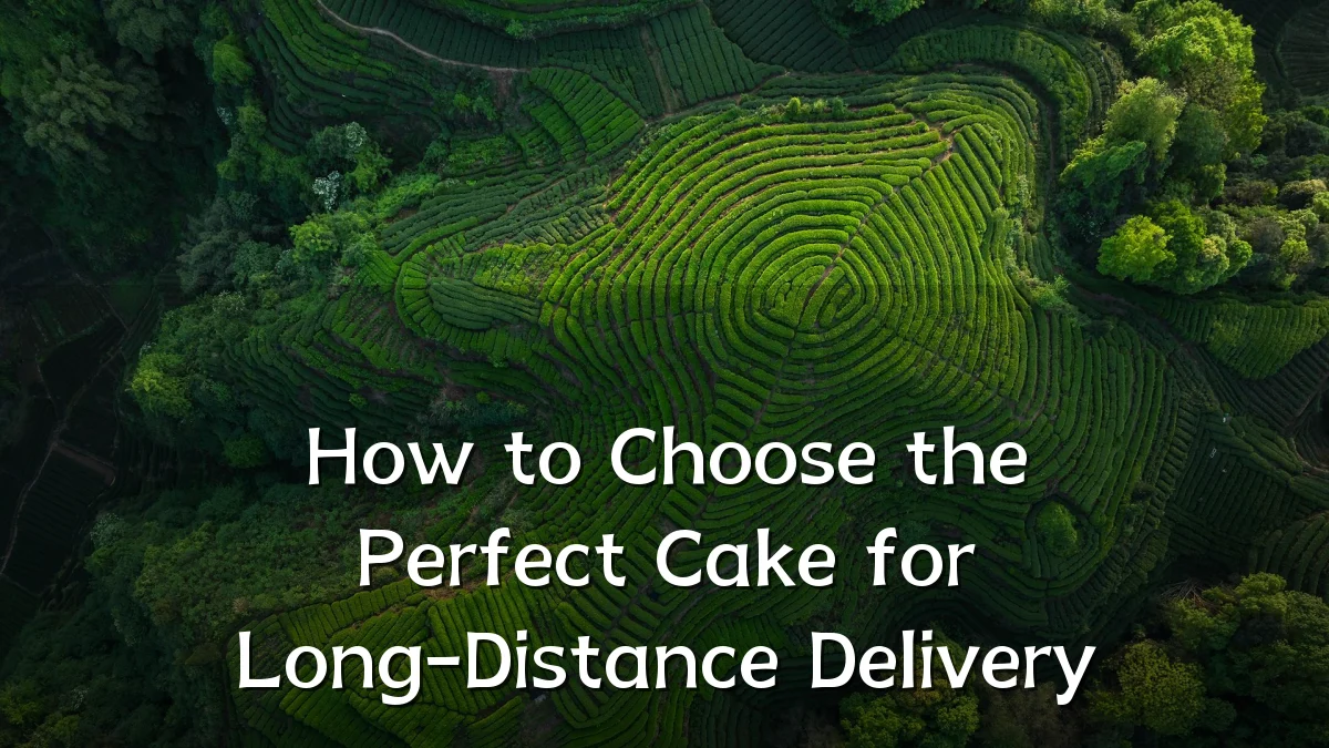 How to Choose the Perfect Cake for Long-Distance Delivery