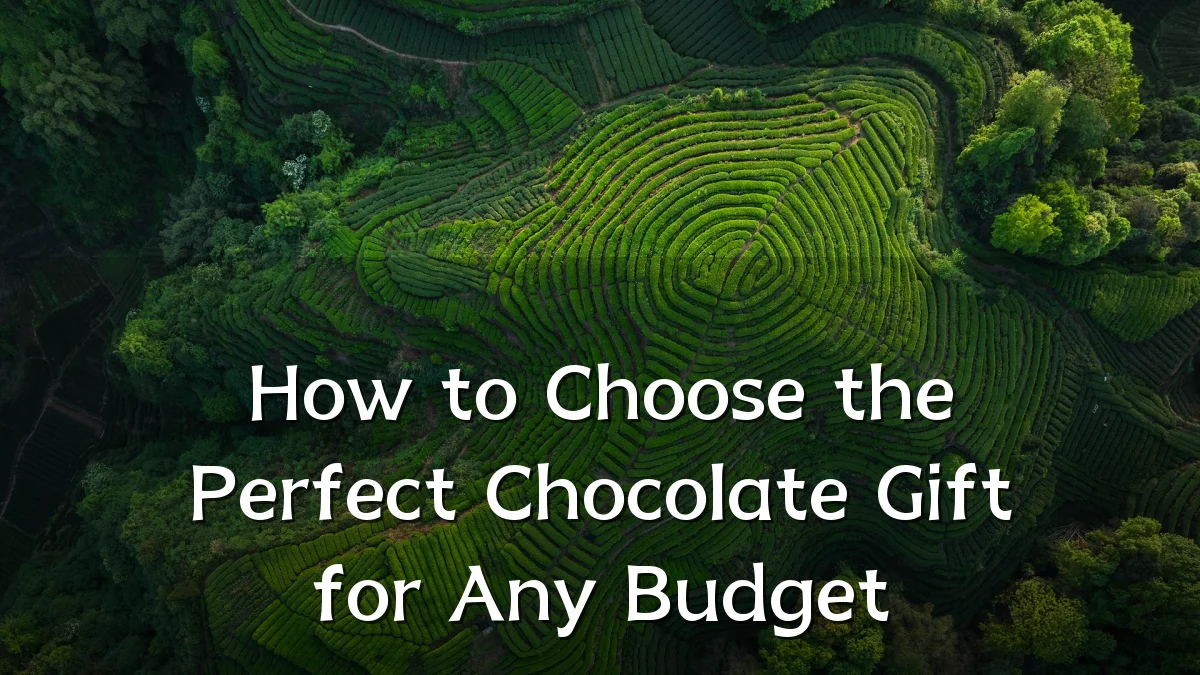 How to Choose the Perfect Chocolate Gift for Any Budget