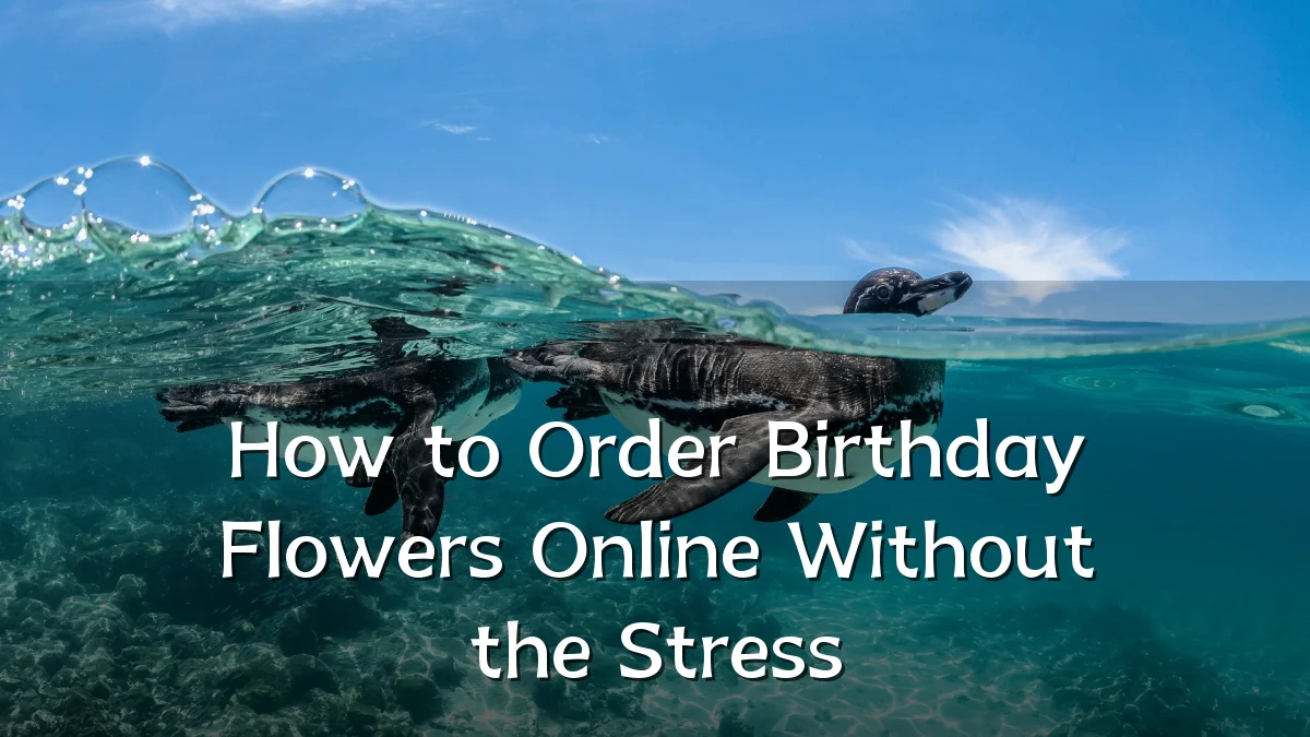 How to Order Birthday Flowers Online Without the Stress