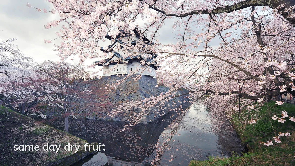 same day dry fruit
