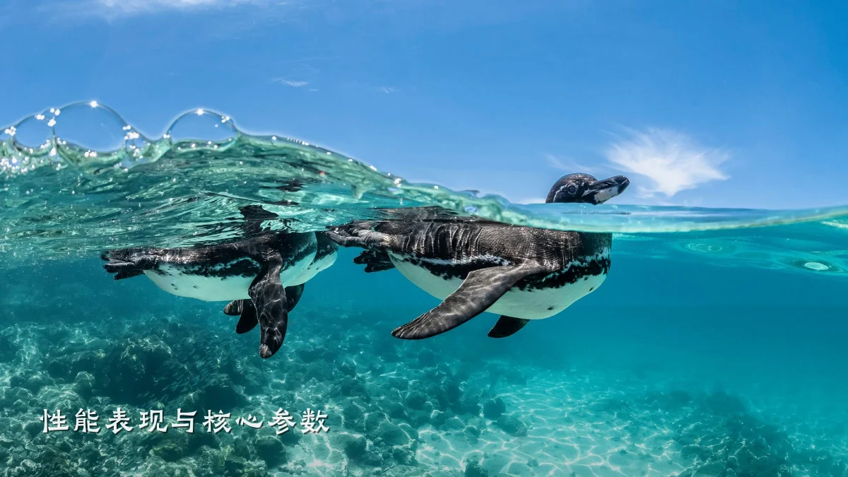 性能表现与核心参数
