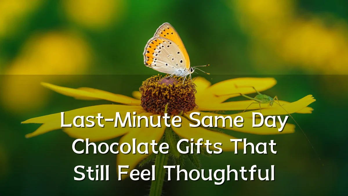 Last-Minute Same Day Chocolate Gifts That Still Feel Thoughtful