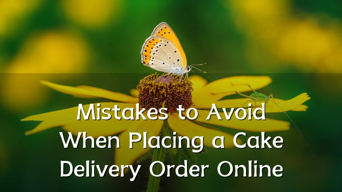 Mistakes to Avoid When Placing a Cake Delivery Order Online