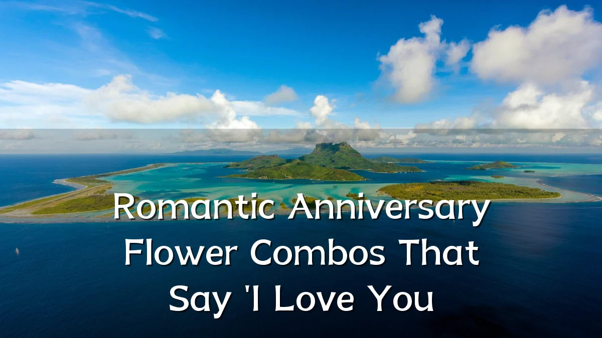 Romantic Anniversary Flower Combos That Say 'I Love You