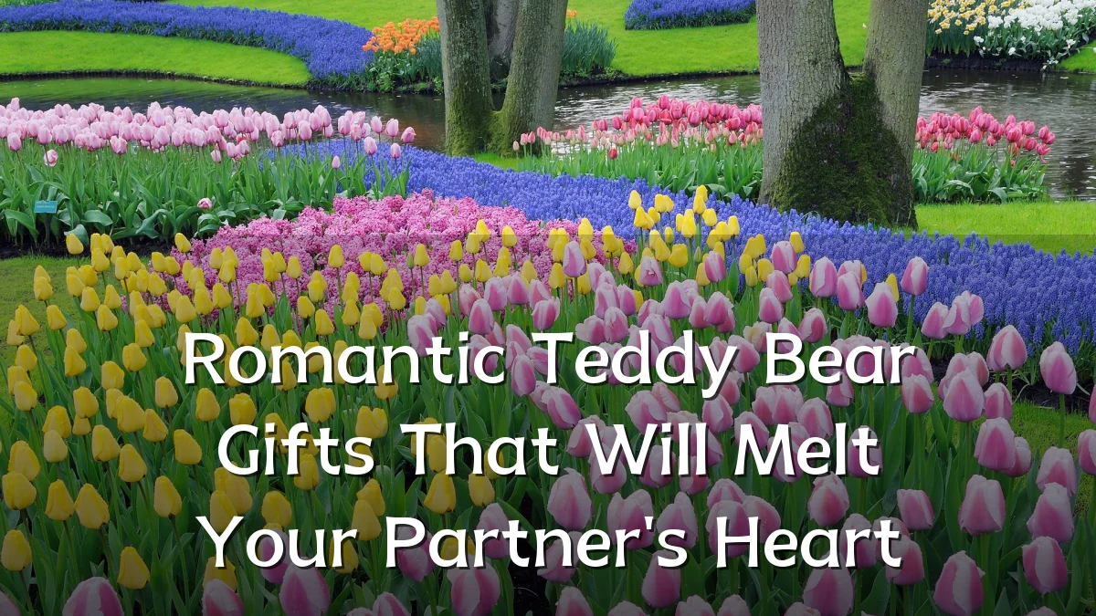 Romantic Teddy Bear Gifts That Will Melt Your Partner's Heart