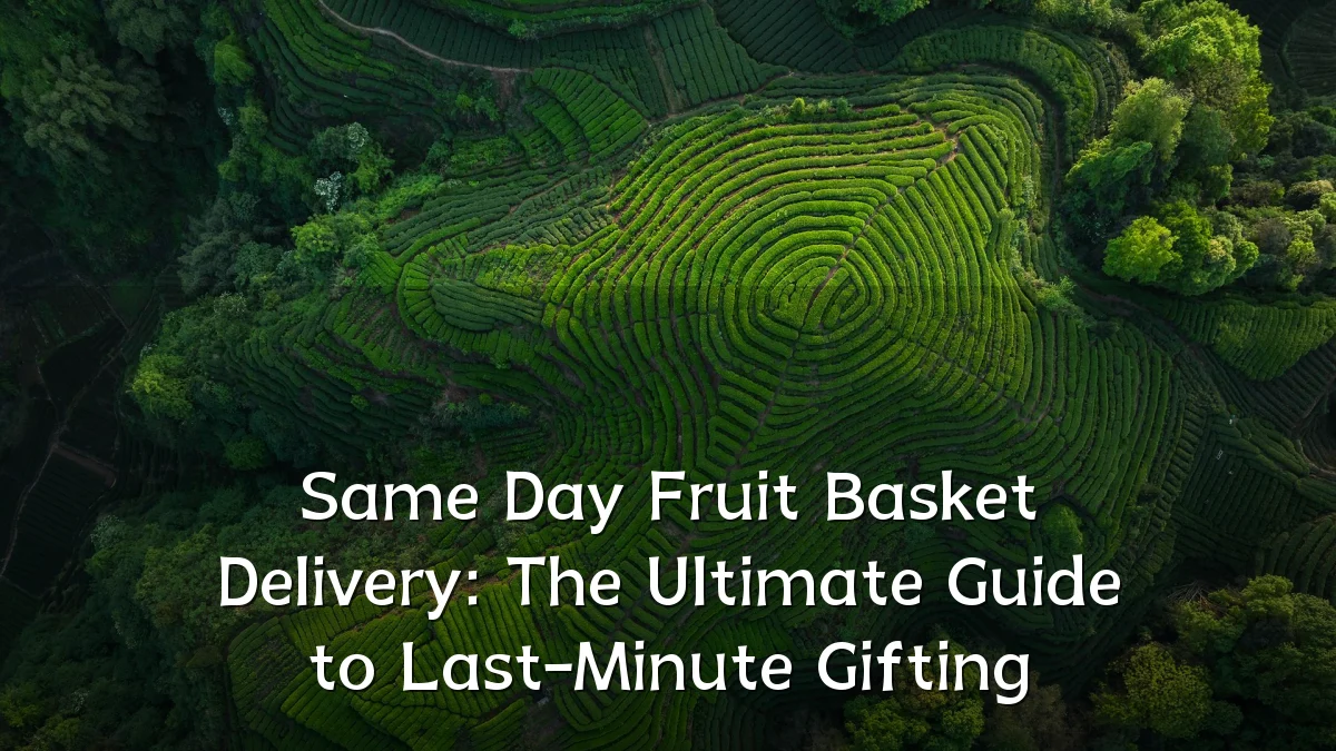 Same Day Fruit Basket Delivery: The Ultimate Guide to Last-Minute Gifting