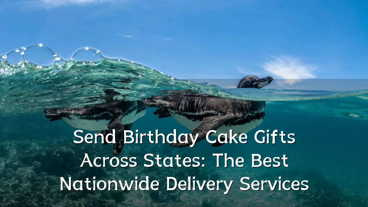 Send Birthday Cake Gifts Across States: The Best Nationwide Delivery Services