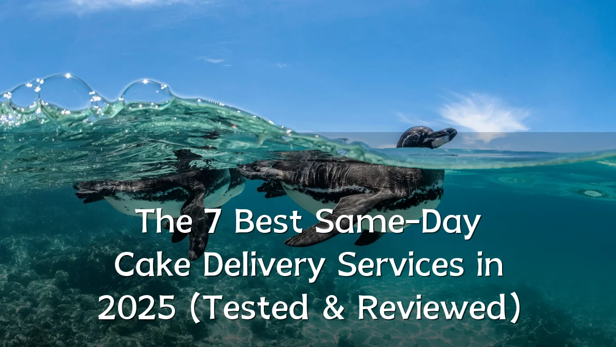 The 7 Best Same-Day Cake Delivery Services in 2025 (Tested & Reviewed)
