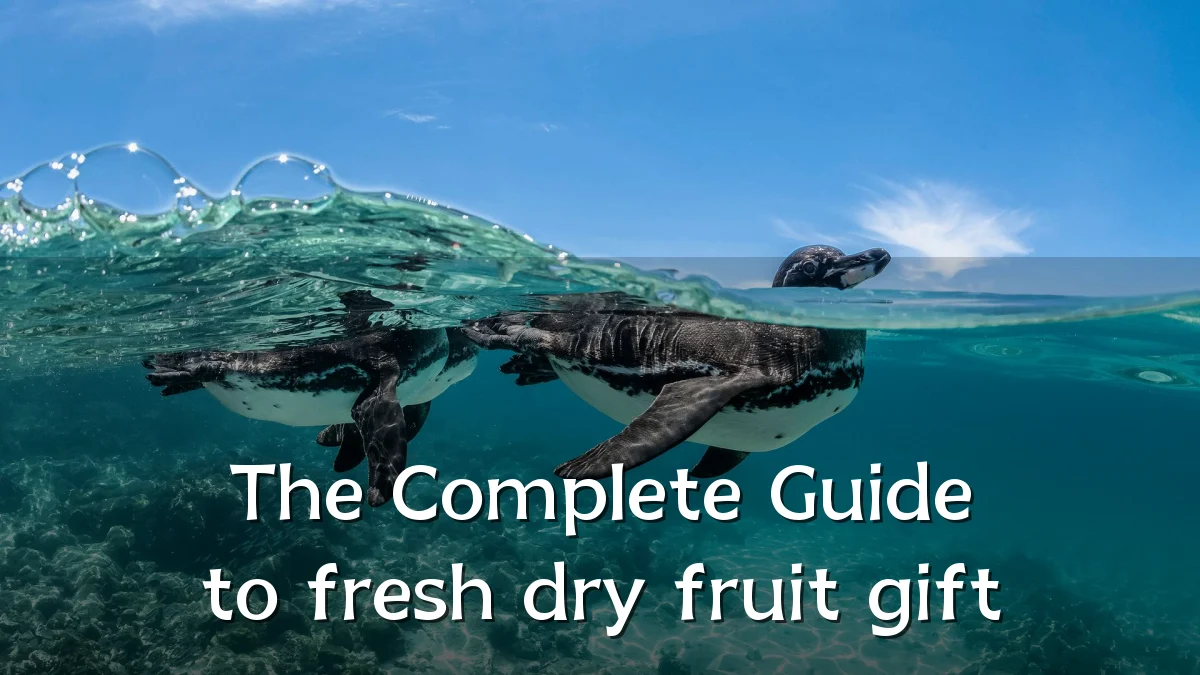 The Complete Guide to fresh dry fruit gift