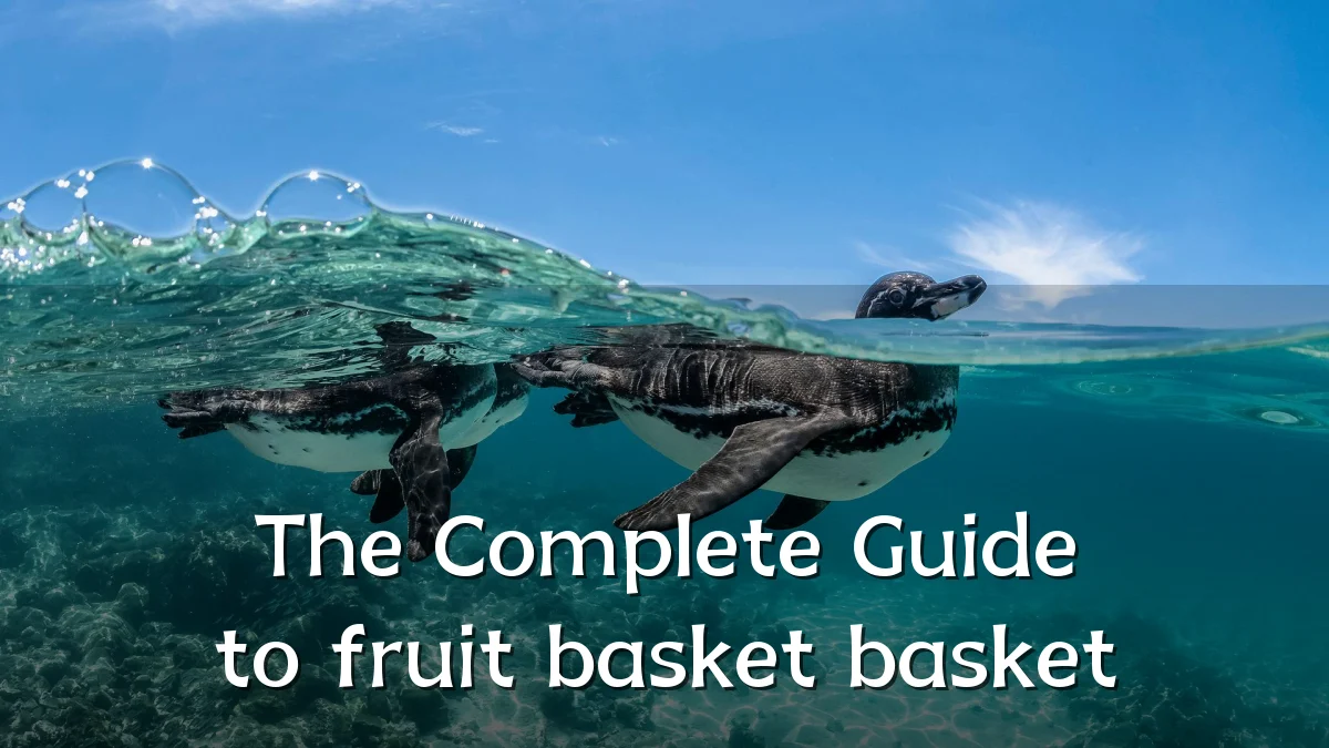 The Complete Guide to fruit basket basket