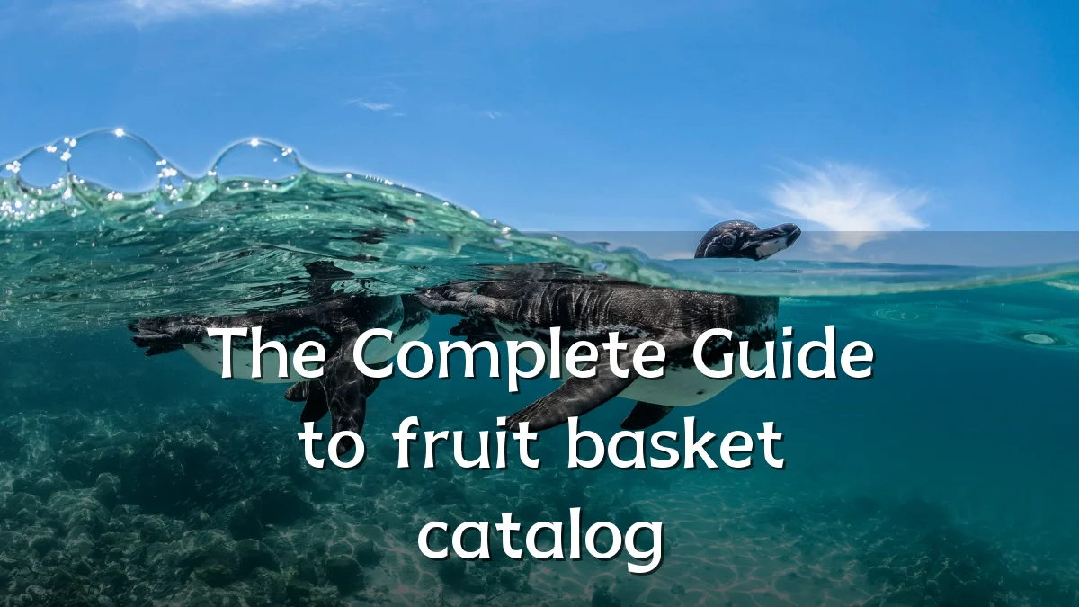 The Complete Guide to fruit basket catalog