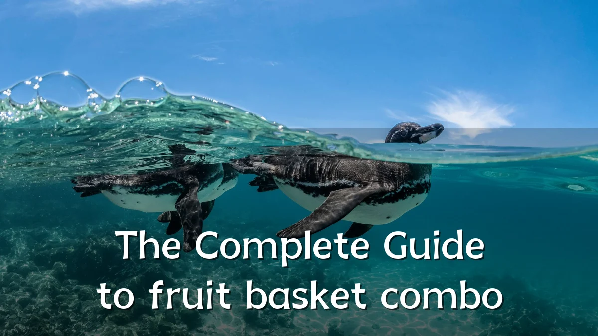 The Complete Guide to fruit basket combo