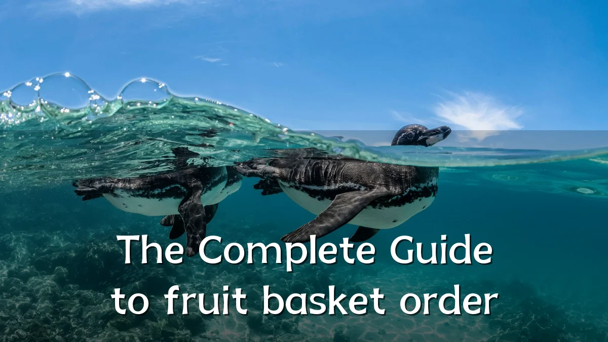 The Complete Guide to fruit basket order