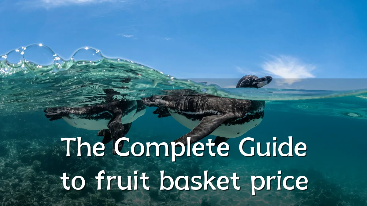 The Complete Guide to fruit basket price