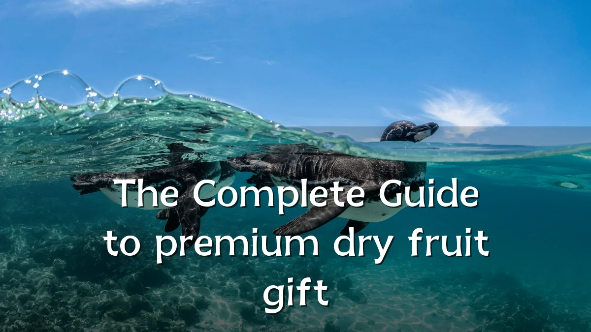 The Complete Guide to premium dry fruit gift