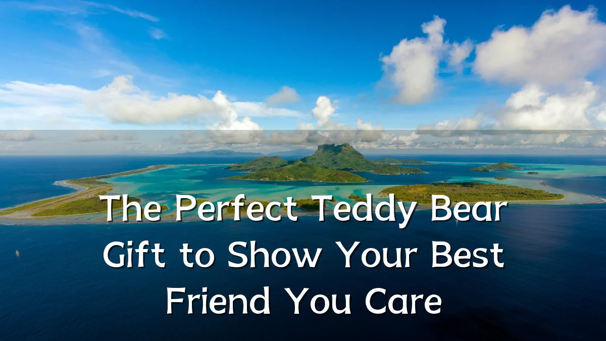 The Perfect Teddy Bear Gift to Show Your Best Friend You Care