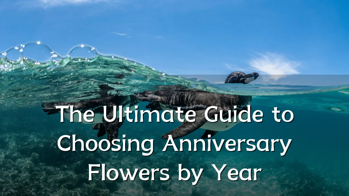 The Ultimate Guide to Choosing Anniversary Flowers by Year