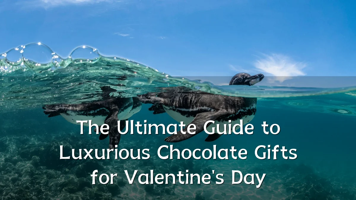 The Ultimate Guide to Luxurious Chocolate Gifts for Valentine's Day
