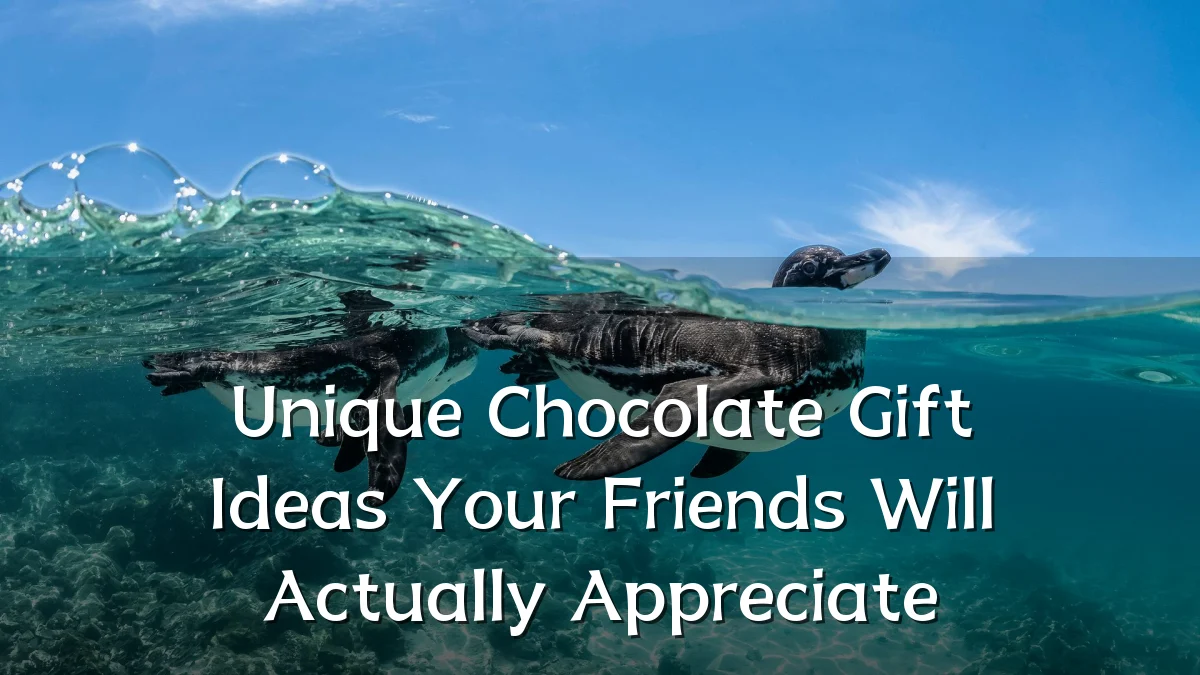 Unique Chocolate Gift Ideas Your Friends Will Actually Appreciate