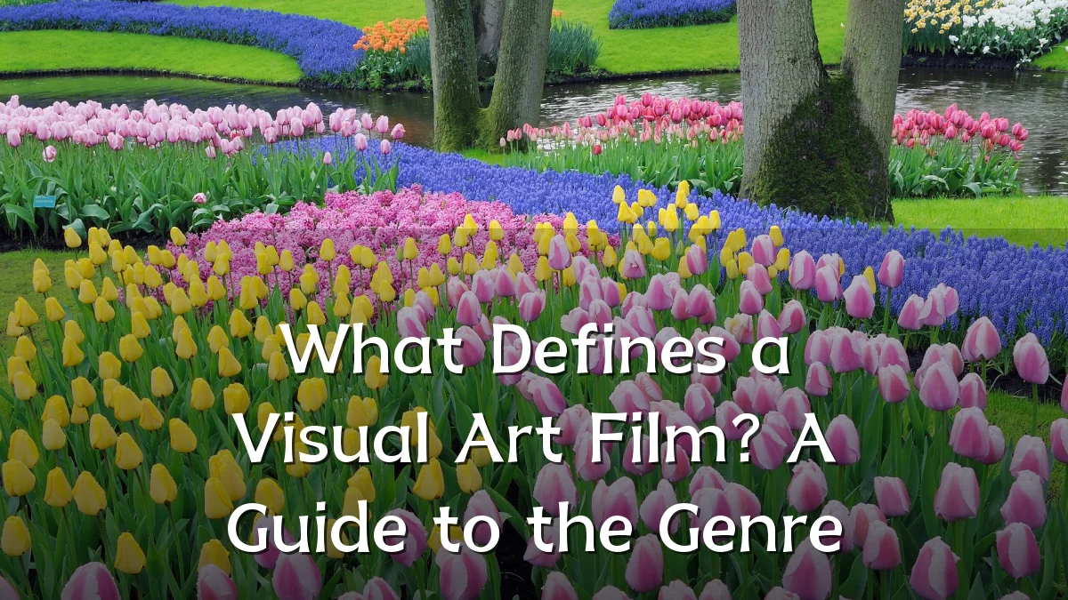 What Defines a Visual Art Film? A Guide to the Genre