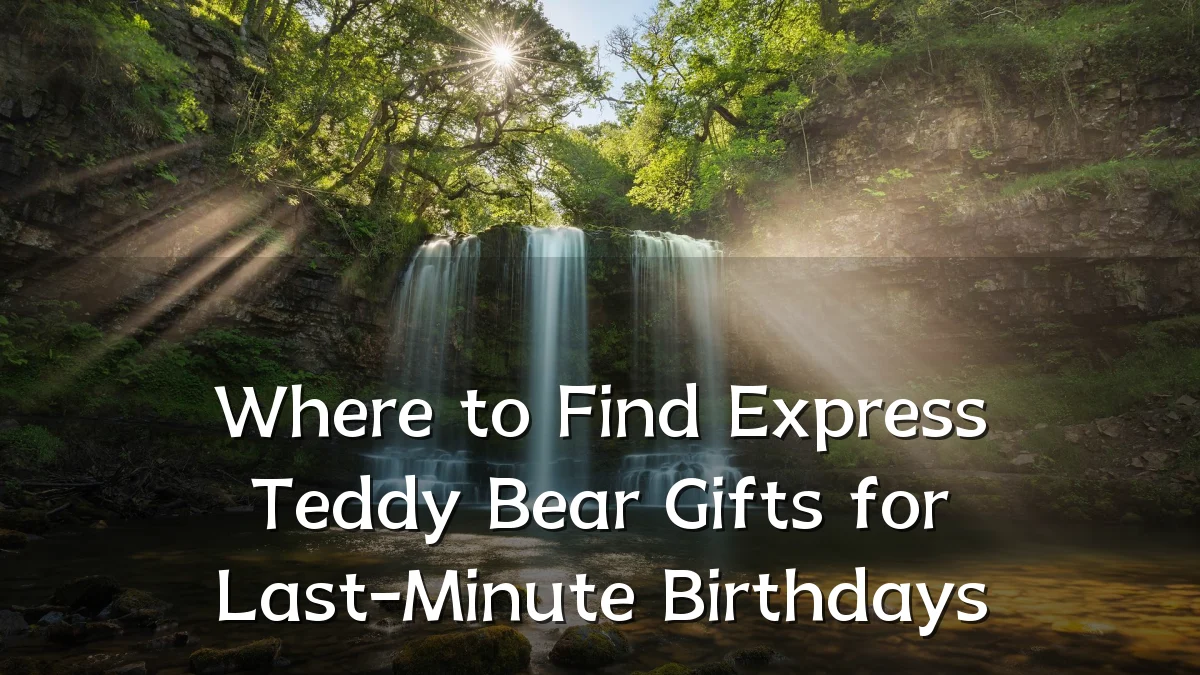 Where to Find Express Teddy Bear Gifts for Last-Minute Birthdays