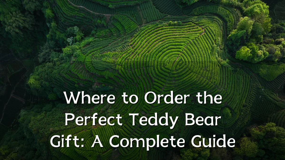 Where to Order the Perfect Teddy Bear Gift: A Complete Guide
