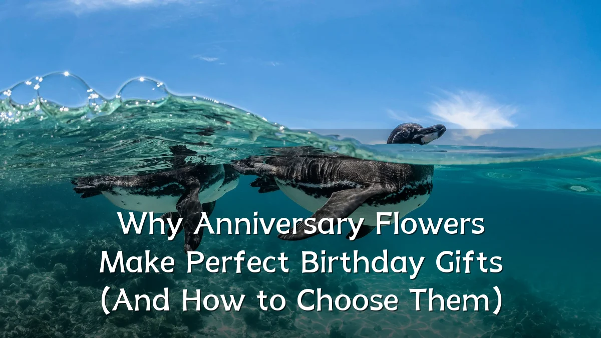 Why Anniversary Flowers Make Perfect Birthday Gifts (And How to Choose Them)