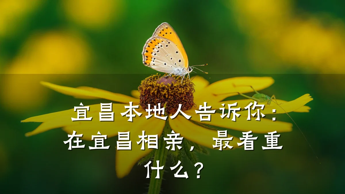 宜昌本地人告诉你：在宜昌相亲，最看重什么？